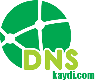 Dnskaydi.com